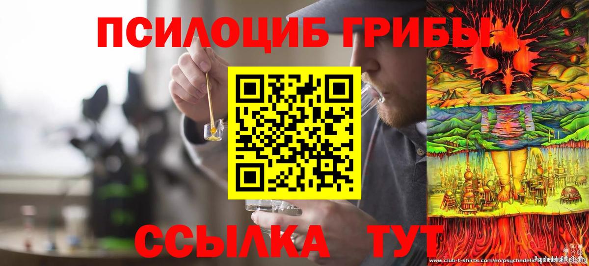 Псилоцибиновые грибы Psilocybe  Псилоцибиновые грибы GOLDEN TEACHER  Комсомольск-на-Амуре  Вход с VPN 